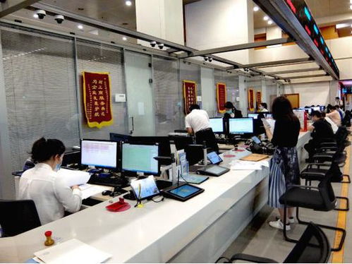 科技賦能，服務(wù)百姓——北京順義區(qū)創(chuàng)新技術(shù)服務(wù)模式探秘