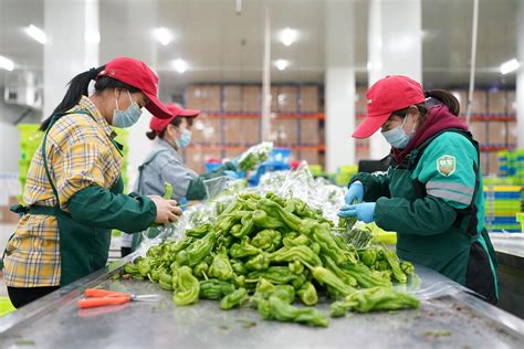 配送蔬菜公司起名大全 匯聚吉利旺財(cái)?shù)倪\(yùn)輸公司名字素材（深圳篇）
